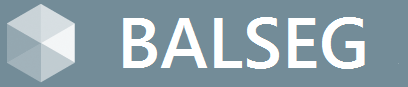 Balseg